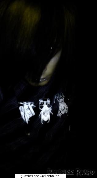 Chami - My heart bleeds no more now, it's been turned to - Pictures